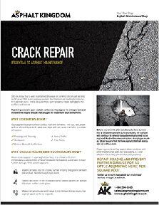 Crack Repair Flyer
