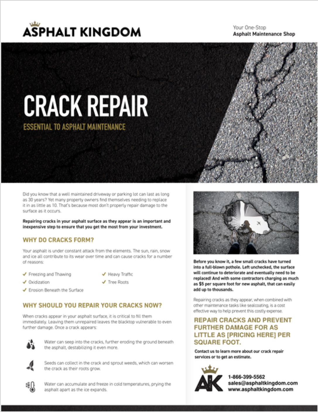 Crack-Repair-Flyer-Thumbnail